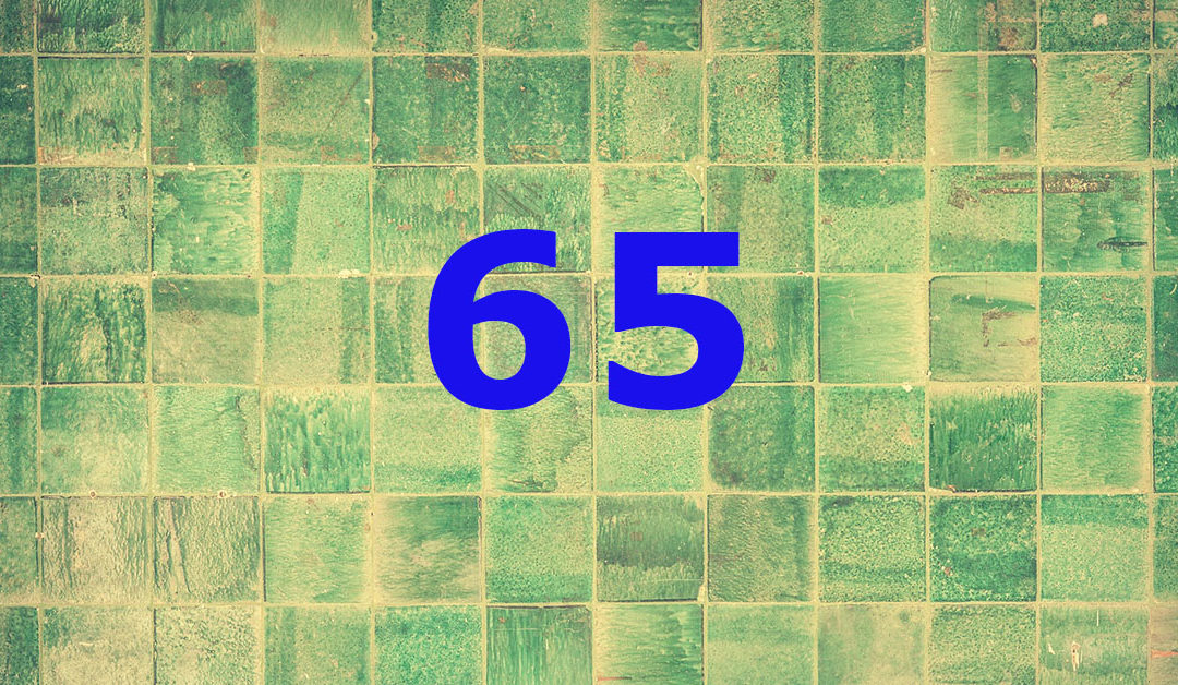 Blaue Zahl 65 auf grünem Hintergrund
